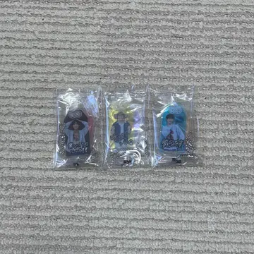 Snow Man 부적 키링 9개 세트