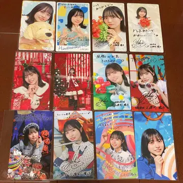 쇼겐지 요코 히나코레 리얼 카드 마일 혜택 12장 세트