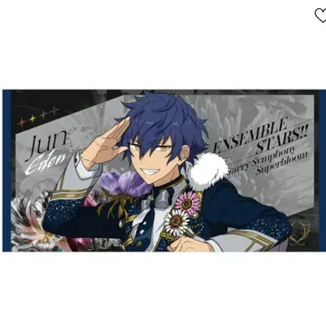 앙스타 스타포니 사자나미 쥰 빅 비주얼 타월