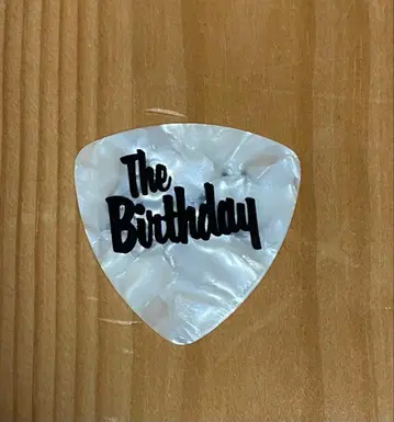 The Birthday & Fender 기타 피크
