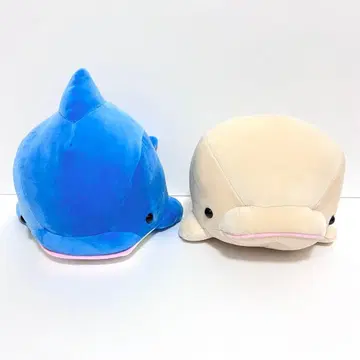 하케이지마 파라다이스 돌고래 복권 돌고래 흰돌고래 4등 봉제 인형 세트