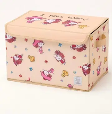 미즈모리 아도 수납 박스