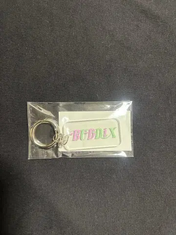 buddix FANTASTICS 키링