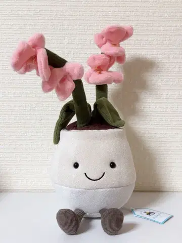 JELLYCAT 제리캣 Amuseables Pink Orchid