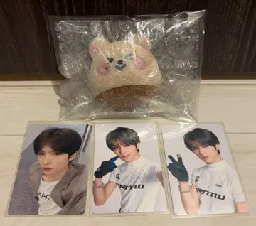 NCT DREAM 드림즈 외 지성