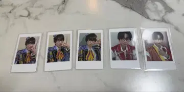 팬더드래곤 하피카 나루키 5종