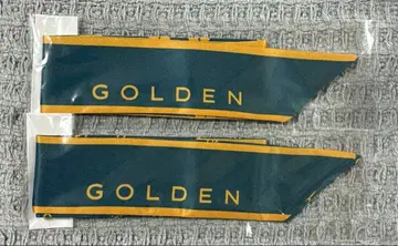 BTS JUNGKOOK 정국 GOLDEN 리본 스카프