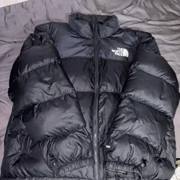 THE NORTH FACE 눕시 다운 자켓
