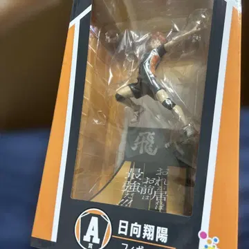 하이큐 [히나타 쇼요] 피규어