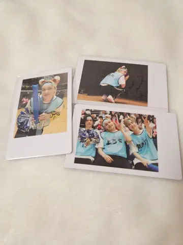 팬더 드래곤 DD 운동회 요타 하피 카세트