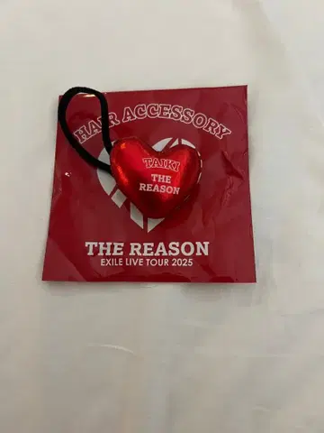 EXILE FANTASTICS TAIKI 머리끈 헤어 액세서리