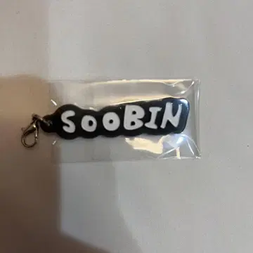 TXT act tomorrow POPUP 아크릴 참 이름 수빈