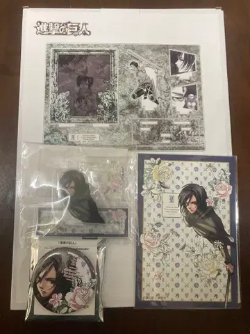 진격의 거인 Anique 미카사