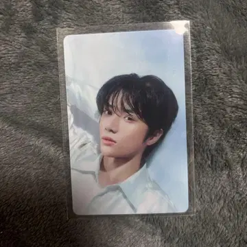 TXT 벨루나돔 업그레이드 혜택 트레이딩 카드 범규