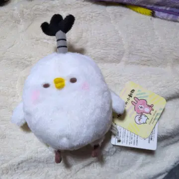 카나헤이의 작은 동물 새 쫑긋