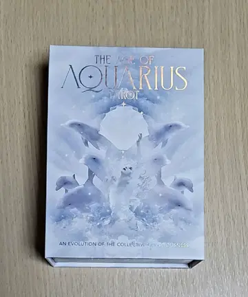 The Age of Aquarius Tarot 타로 카드