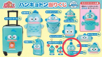 한교동 펌프 보틀 스카이블루 약 20cm