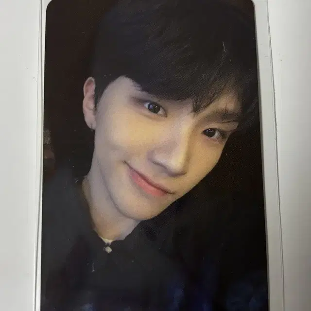 운학노장르 포카+노장르 4집 앨범 초록색