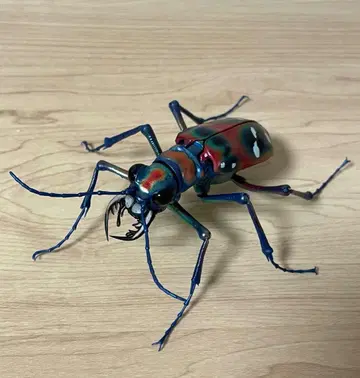 한묘 (레드) 생물대도감 어드밴스 곤충 생물 가챠