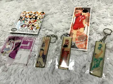 하이큐전 메탈 키링 우시지마 검은 꼬리 와타리 아크릴 스탠드