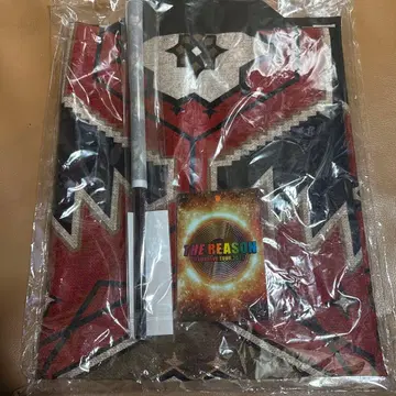 EXILE THE REASON 업그레이드 오리지널 굿즈