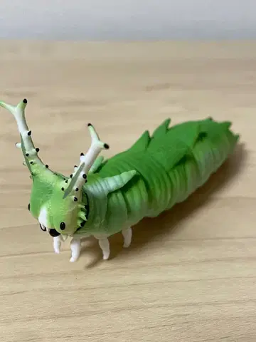 오오무라사키 애벌레 생물대도감 애벌레02 곤충 생물 가챠