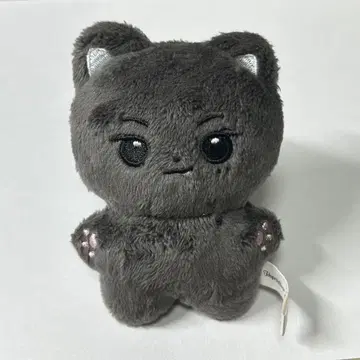 enhypen 제이 봉제 인형 10cm 인형