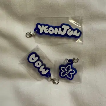 TXT 아크릴 참 영준