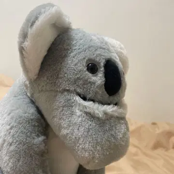 샤쿠레루 플래닛 코알라