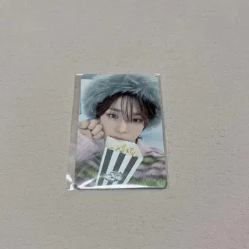 NEXZ 소곤 SOGEON 팝업 트레이딩 카드