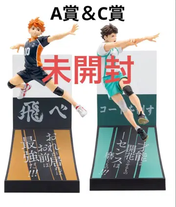 하이큐 해피 복권 히나타 쇼요 오이카와 토오루 세트