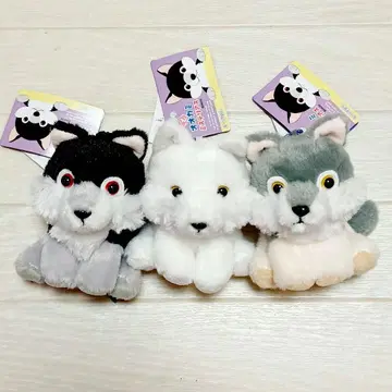 모후토 늑대 미스터리 늑대 봉제 인형 3개 세트