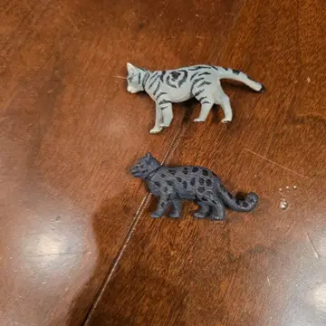 캡슐 아니아 아메리칸 숏헤어 가챠 블랙 팬서 어린이