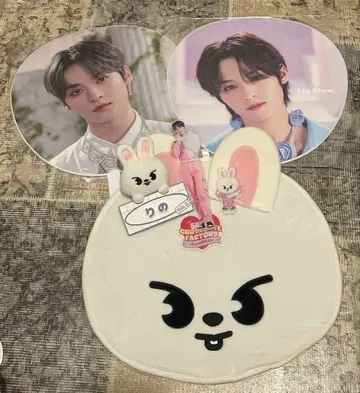 straykids 리빗 부채 커버 네임 백참 묶음 판매