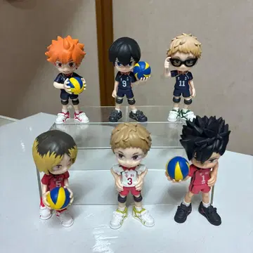 PalVerse 하이큐!!