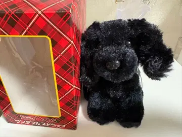 AKB48 원더풀 스트랩