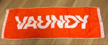 VAUNDY 로고 타월 오렌지