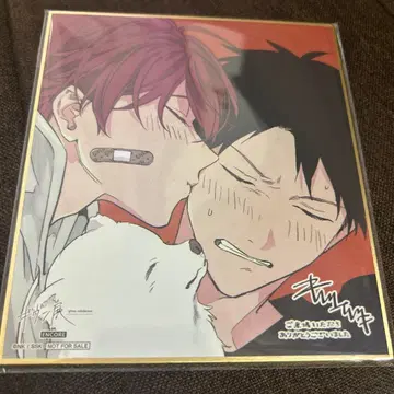 기븐전 입장 혜택 색지 카미노야 리카 & 사토 마후유