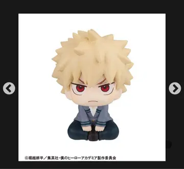 룩업 나의 히어로 아카데미아 바쿠고 카츠키 히로아카