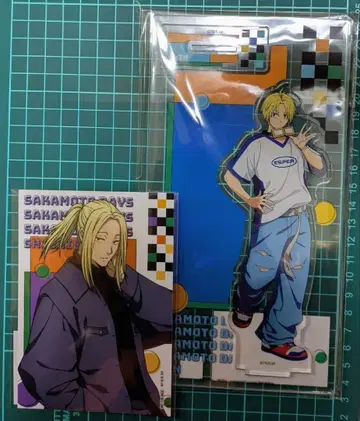 사카모토 데이즈 마루쿠지 신 혜택 신가이