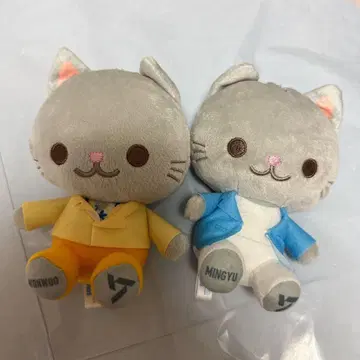 seventeen SEGA 고양이