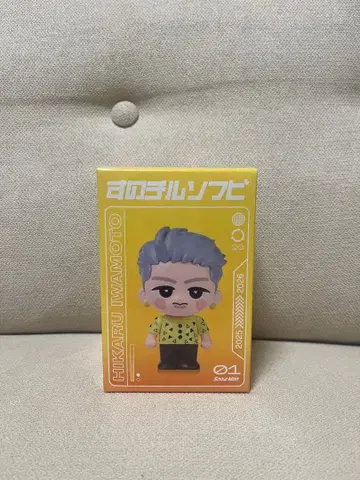 스노우 칠 소프트 비닐 이와모토 히카루