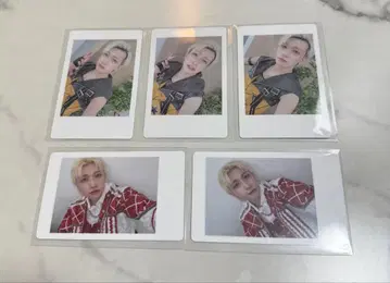 팬더 드래곤 하피카 요우타 5종