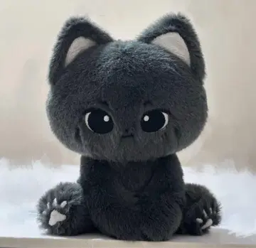 enhypen 제이 인형 봉제 인형 10cm