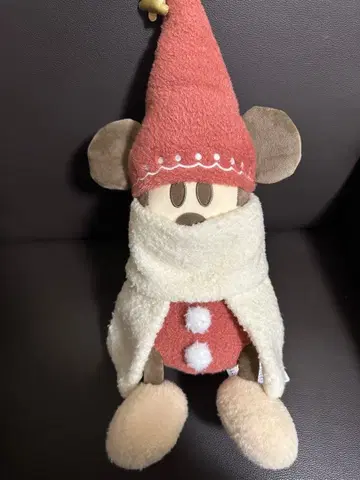 도쿄 디즈니 리조트 한정판