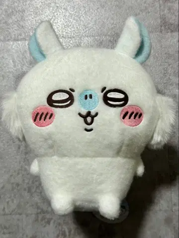 모몽가 시이푸와 봉제 인형 치이카와 (먼작귀)