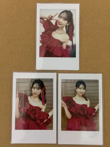 세리자와 유 애니서머 2023 폴라로이드