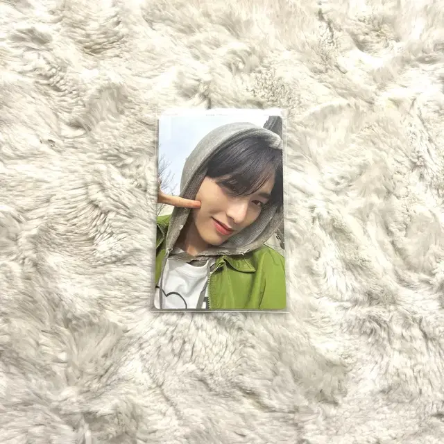 보이넥스트도어 보넥도 태산 who! who.ver 앨범 포카 양도