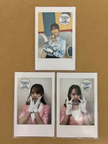 i Ris 세리자와 유 Traveling 회장 한정판 폴라로이드