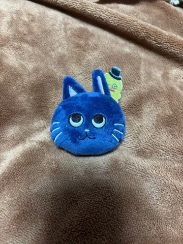 RIIZE 원빈 냥덕 바주카 낙하물 팬미